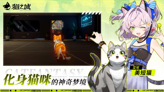 猫之城B站版