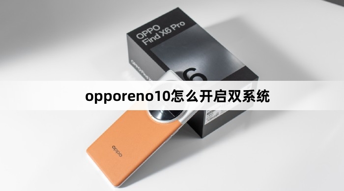 opporeno10如何开启双系统