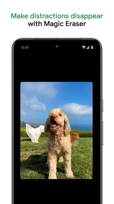 Google Photos app