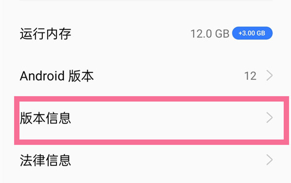 真我Realme 10 Pro+在哪里进入开发者模式