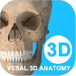 维萨里3D解剖app