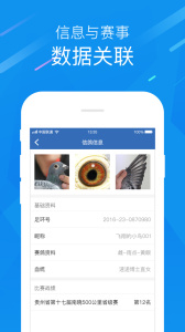 中国信鸽协会app