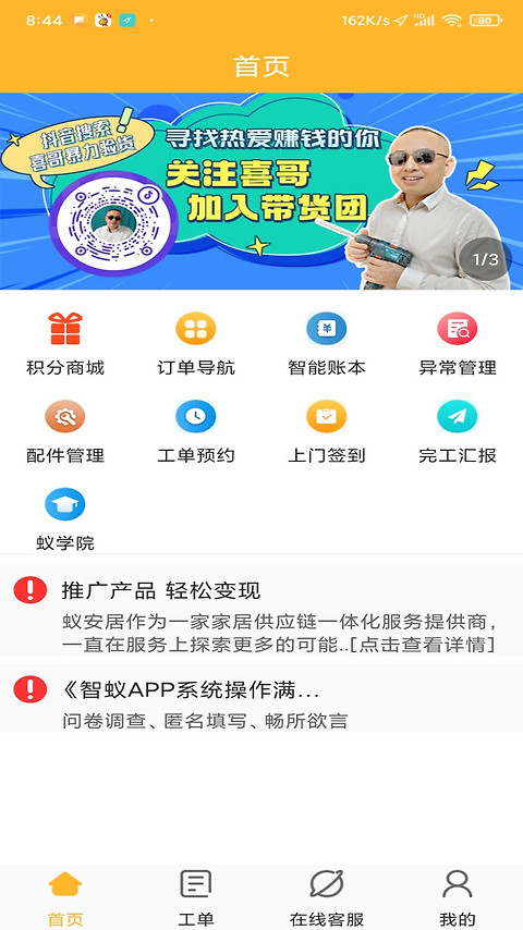 智蚁