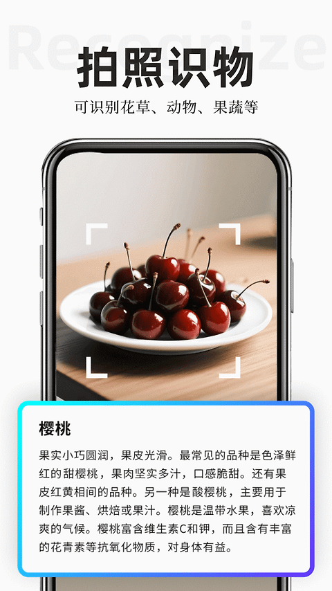 扫描专家app
