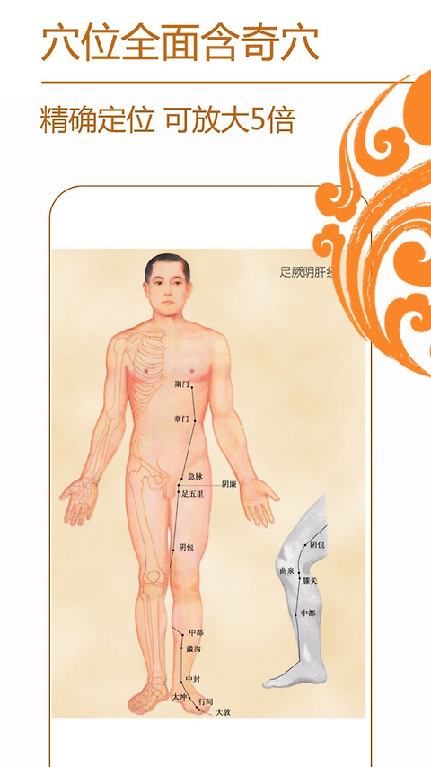 经络养生app