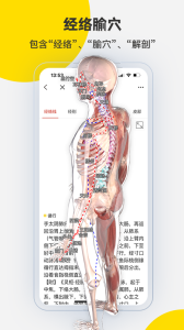 3Dbody解剖app