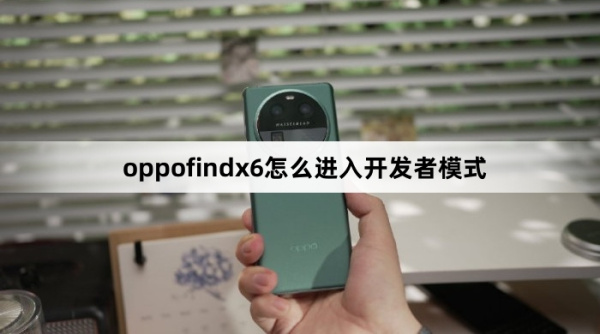 oppofindx6如何进入开发者模式