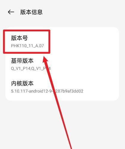 一加 Ace 2V如何进入开发者模式