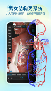 维萨里3D解剖app