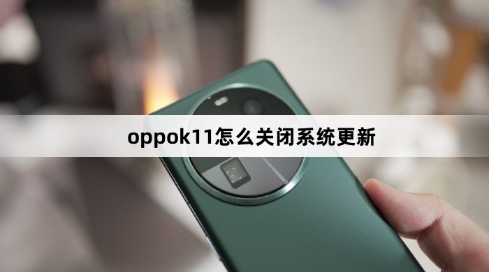oppok11怎么关闭系统更新