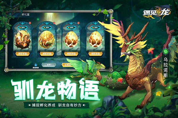 遇见龙官方正版