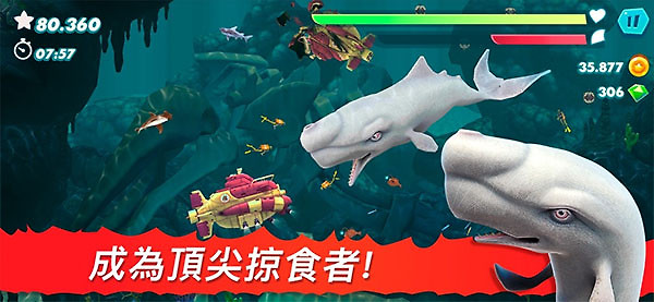 饥饿鲨进化999999钻无限金币版