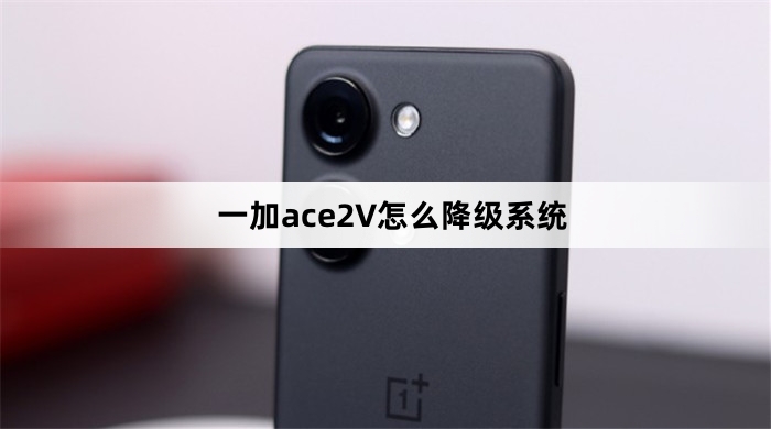 一加ace2V降级系统教程
