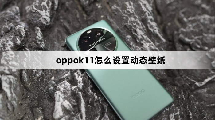 oppok11设置动态壁纸教程