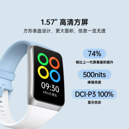 OPPO 手环 2 标准版