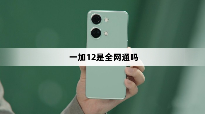 一加12是全网通手机吗