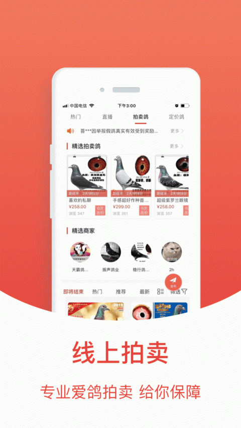 搜鸽天下app