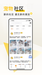 花生宠物最新版