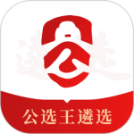 公选王app