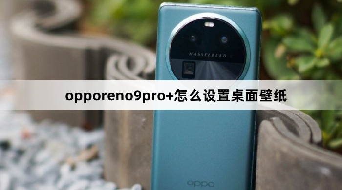 opporeno9pro+如何设置桌面壁纸