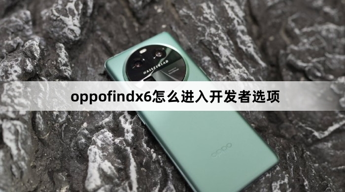 oppofindx6如何进入开发者选项