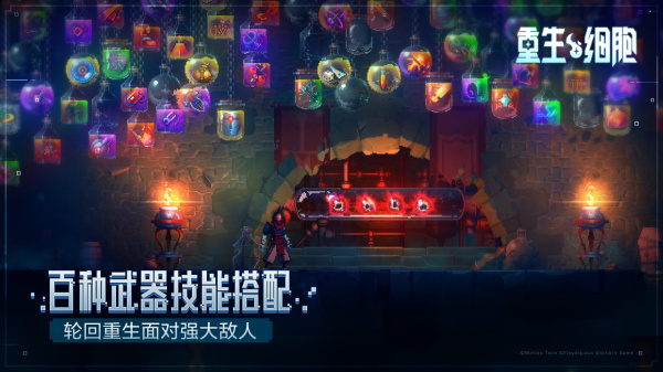 重生细胞B站版