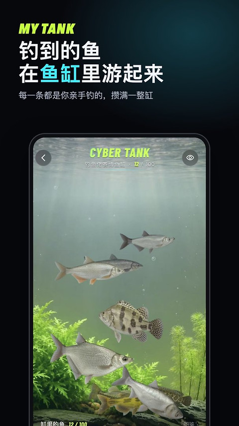 钓鱼佬最新版