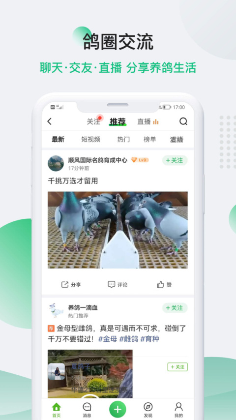 中国信鸽信息网app