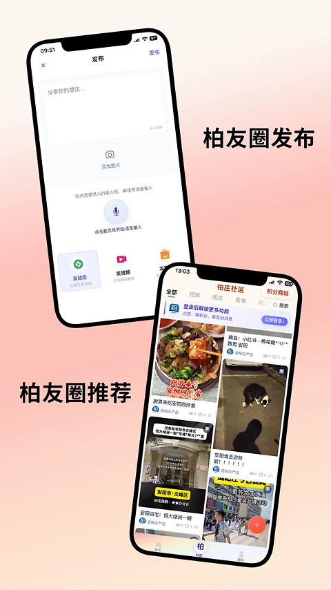 逛柏庄app