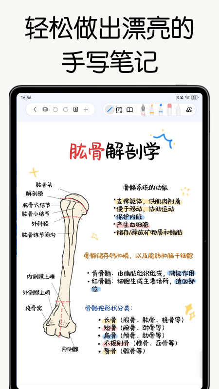 自由笔记app官方版
