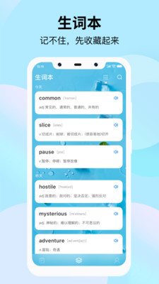 靠谱背单词app