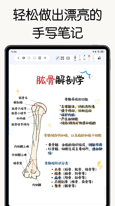 自由笔记app官方版
