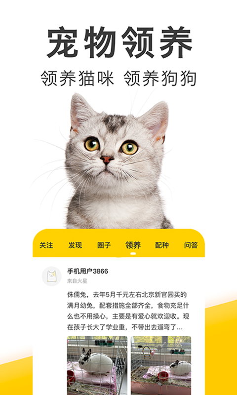 有只宠物app