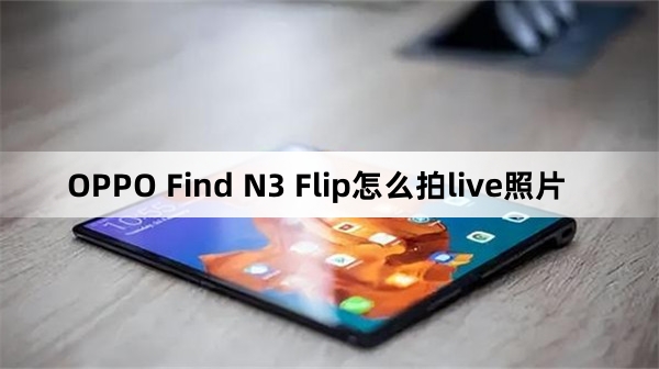 OPPO Find N3 Flip如何拍live照片