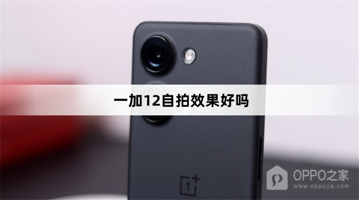 一加12自拍效果介绍