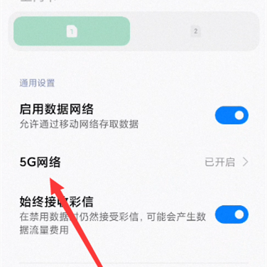 真我realme Q5在哪里调成4G网络