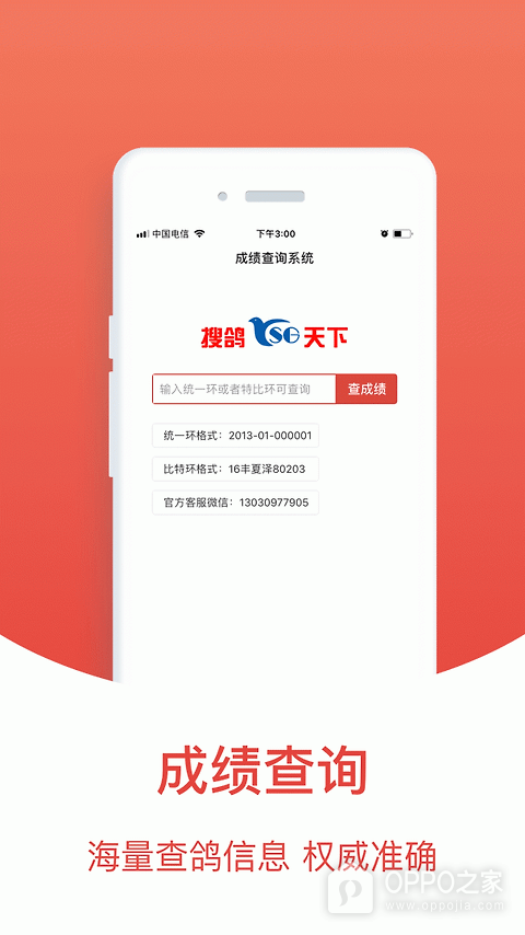 赛鸽头条app