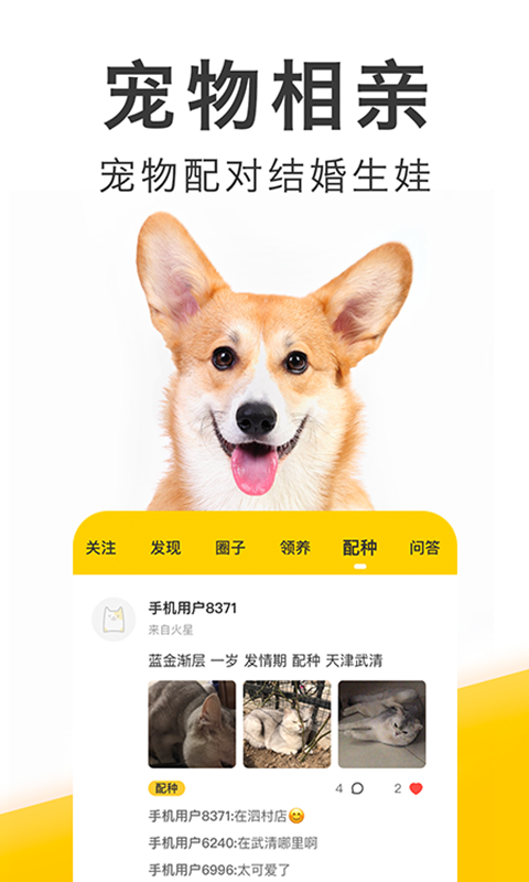 有只宠物app