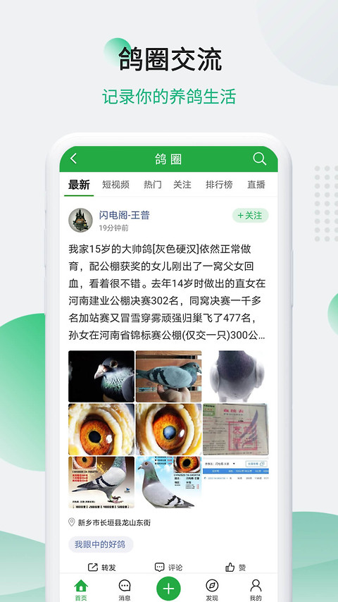 中国信鸽信息网app