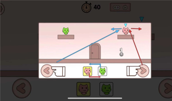 萌猫公园国际服