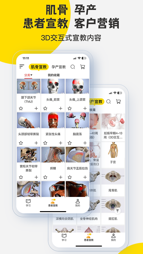 3Dbody解剖app