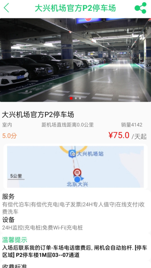 笨鸟停车
