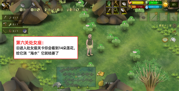 挨饿荒野联机版官方版