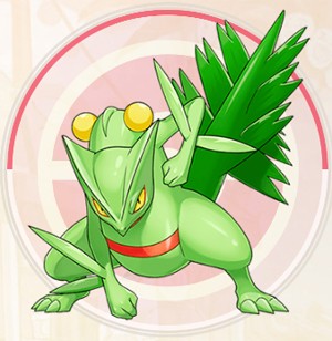 口袋觉醒小米商店版