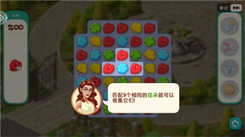 我的花园国际服