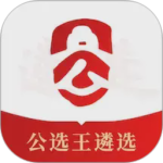 公选王app