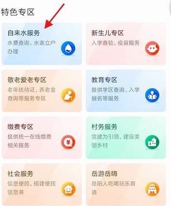岳办岳好app