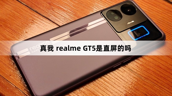 真我 realme GT5是什么屏幕