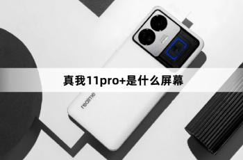 真我11pro+是什么屏幕