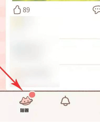 遇见你的猫2026最新版